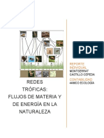 Redes Tróficas: Flujos de Materia Y de Energía en La Naturaleza