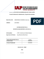 PDF Informe Final de Practicas Pre Profesional Area de Abastecimiento Tesoreria y Contabilidad - Compress