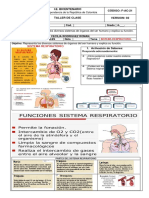 3guía - 4° - Sistema Respiratorio - 2023.