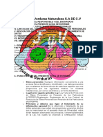 Aviso de Privacidad F&V Frutas y Verduras