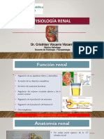 Fisiologia Renal