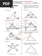 Tema 01 - Trabajo - 4to - Geometría - Triángulos