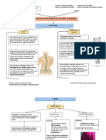 Organizador Ortesicos en Patologia