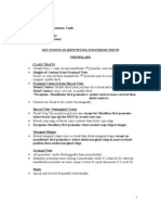 Dental Anatomy - Review Part II