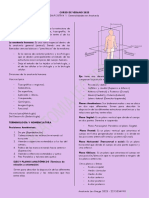 CURSO DE VERANO 2023 - Diapositiva 1