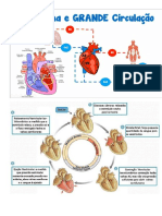 REVISÃO SIMPLIFICADA DA FISIOLOGIA CARDIOVASCULAR. Impressão