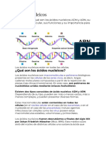 Ácidos Nucleicos