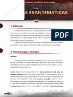 ResumoDoencas Exantematicas-1532117047402