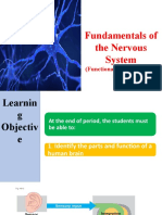 Fundamentals of The Nervous System