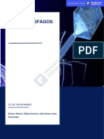 Bacteriofagos PDF