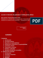 Lección 9 Patentes e Instituciones Afines