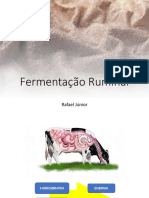 Fermentação Ruminal