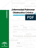 Enfermedad Pulmonar Obstructiva Cronica