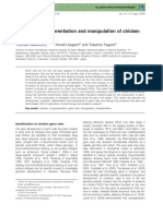 Development, Differentiation and Manipulation of Chicken Germ Cells