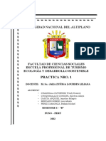 Universidad Nacional Del Altiplano: Practica Nro. 1