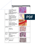 Tinciones Histologicas Guia de Estudio