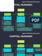 Perspectiva de Capital Humano