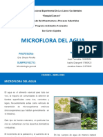 Microflora Del Agua