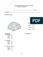 Edad:: Centro de Epilepsia Y Neurocirugía Funcional "Humana" Evaluación Fisioterapéutica