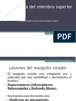 Fisioterapia Del Miembro Superior: L.F.R Leobardo Giovanni Guzman Cruz