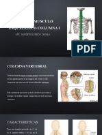 Sistema Musculoesqueletico Columna 1