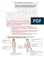 Conocimiento Del Medio 6 Unidad 3 La Funcion de Reproduccion