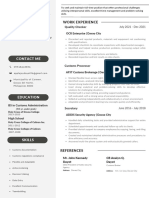 Professional CV Resume