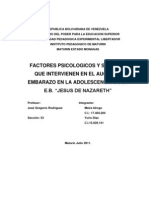 Factores Psicologicos y Sociales Embarazo en La Adolescencia