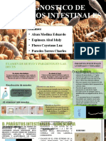 Diagnostico de Parasitos Intestinales: Alumnos