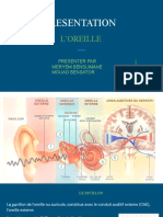 L'oreille