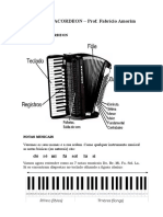 CURSO DE ACORDEON - Prof. Fabrício Amorim