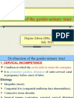 Dysfunction of The Genito-Urinary Tract: Dejene Edosa (BSC, MSC in CMW) July 2021