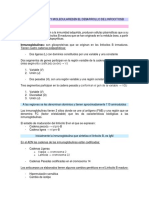 Resumen Documento Linfocitos B