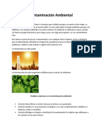 Contaminación Ambiental