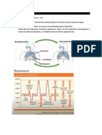 Respiración: en Esta Parte Del Examen Físico Interesa Fijarse en La Forma Como La Persona Respira