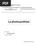 Photosynthèsex