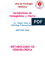 Metabolismo de HB y Fe UMSA