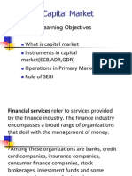 Capital Market1