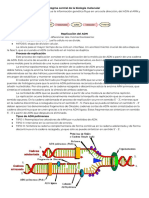 Biotecnología - Replicación, Transcripción y Traducción