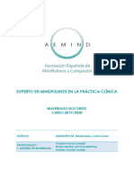 SEMINARIO 08 Mindfulness y Adicciones