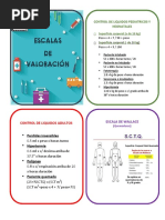 Escalas DE Valoración: Control de Liquidos Adultos