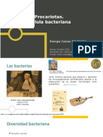 Unidad I: Estudio de La Vida y Su Base Química Procariotas. Célula Bacteriana