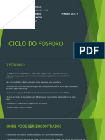 Ciclo Do Fósforo Slide1