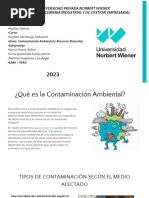 Universidad Privada Norbert Wiener Carrera de Ingenieria Industrial Y de Gestión Empresarial