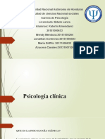 Presentacion Psicoologia Clinica