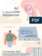 Retraso Del Crecimiento Intrauterino