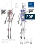 Parties Du Corps Humain