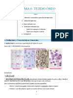 Tema 6: Tejido Óseo: 1. Definición y Características Generales