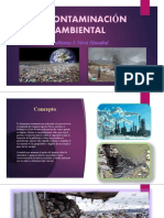 La Contaminación Ambiental