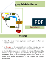 Energia y Metabolismo